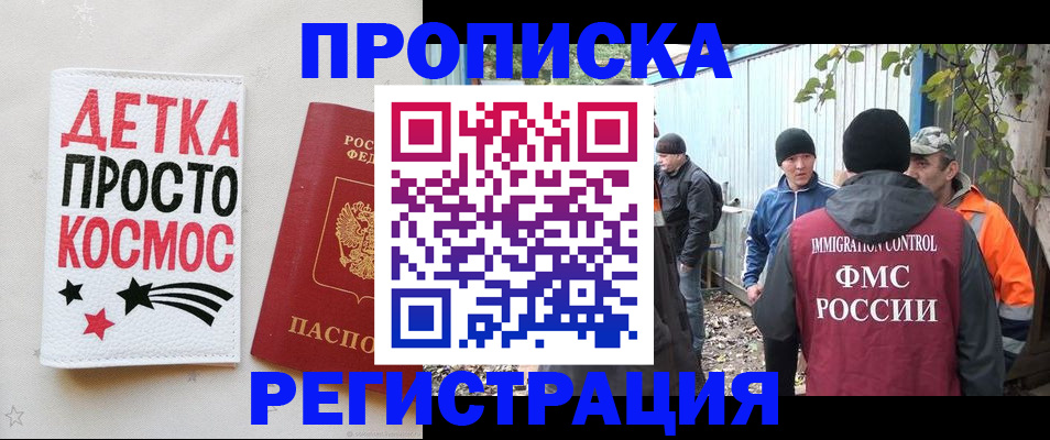 прописка поиск в Ельне